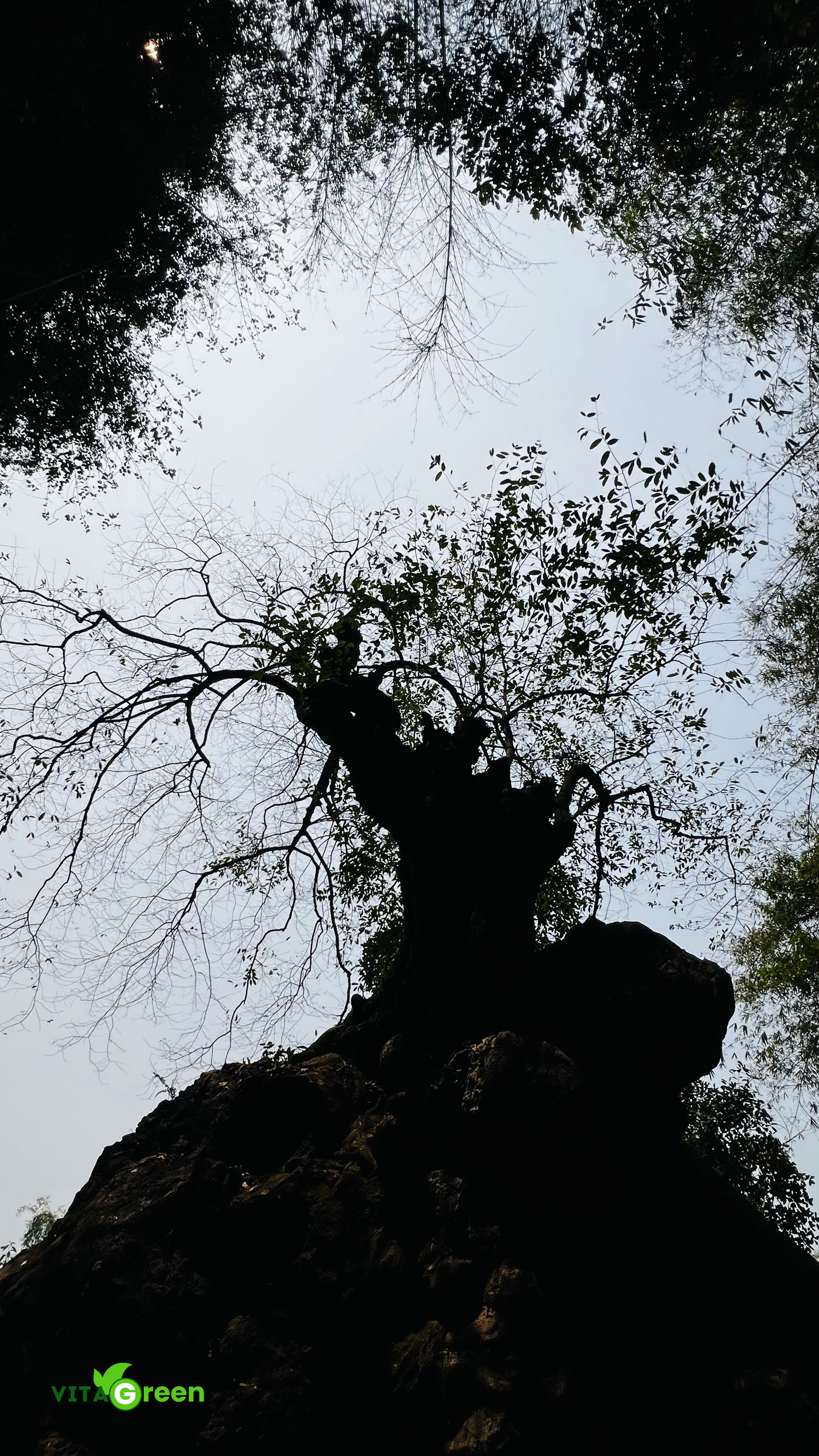 Động Thiên Hà - Ninh Bình
