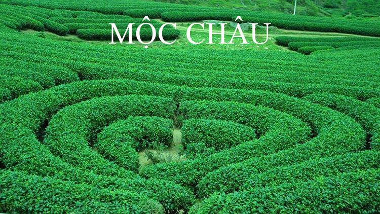 Mộc Châu - trụ cột của Du lịch Sơn La